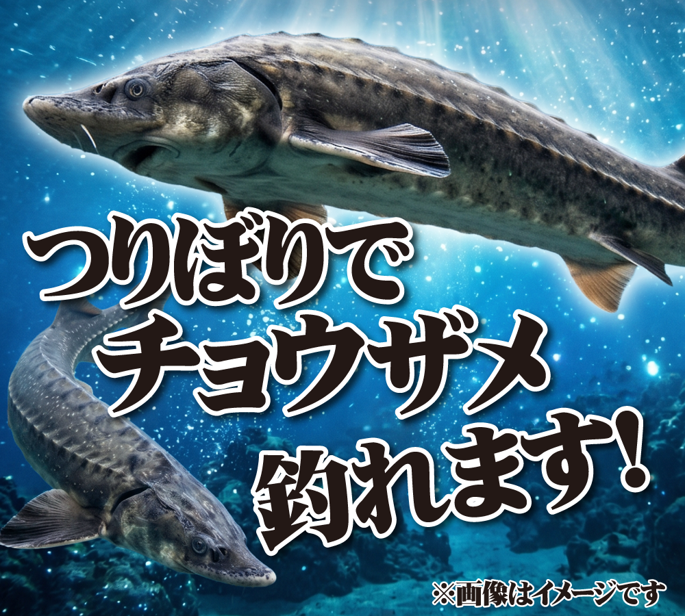 つりぼりチョウザメ
